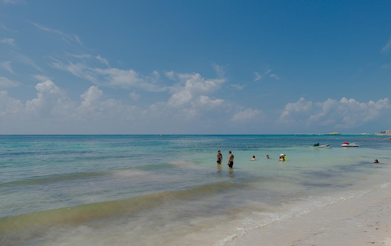 Rioja Playacar By Chezplaya